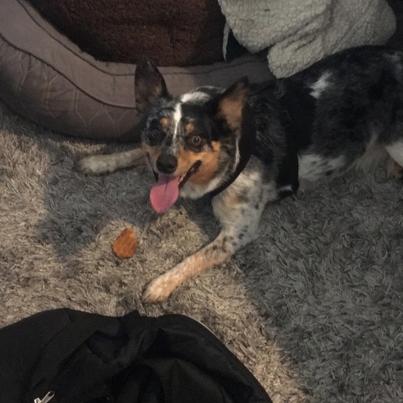 Meet your Posher, Michael - Picture 1 of 1